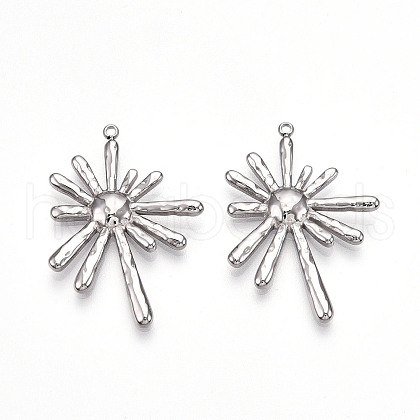 304 Stainless Steel Pendants STAS-T064-62P-1