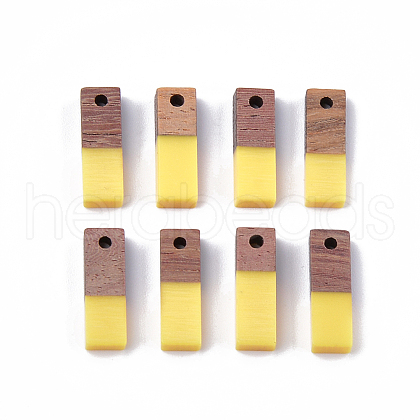 Resin & Wood Pendants X-RESI-S358-19A-1