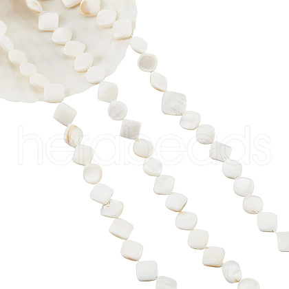  3 Strands Natural Freshwater Shell Beads Strands SHEL-NB0001-46-1