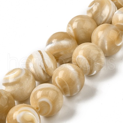 Natural Trochus Shell Beads Strands SHEL-K006-18B-1