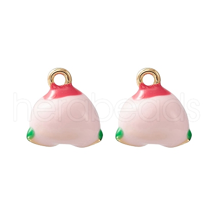 2Pcs Brass Enamel Charms KK-YW0001-91-1