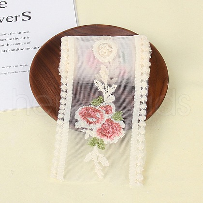 Polyester Embroidery Lace Trim PW-WG31848-08-1