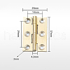 Brass Hinge CABI-PW0001-163-A01-2