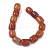 Natural Red Agate Beads Strands G-H295-F01-15-4
