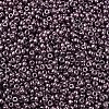 MIYUKI Round Rocailles Beads SEED-G007-RR1088-4