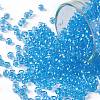 TOHO Round Seed Beads SEED-XTR08-0163-1