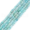 Natural Amazonite Beads Strands X-G-P500-01B-01-1
