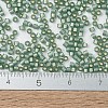 MIYUKI Delica Beads X-SEED-J020-DB2190-4