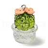 Transparent Resin Plant Pendants RESI-Z028-04C-1