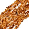 Natural Amber Beads Beads Strands G-Q060-C05-2