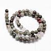 Natural African Bloodstone Beads Strands G-D840-66-8mm-2