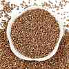 Electroplate Glass Seed Beads SEED-H003-08I-3