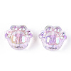 Transparent Acrylic Beads TACR-P004-01-3