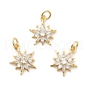 Rack Plating Brass Micro Pave Cubic Zirconia Pendants KK-K270-18G-4