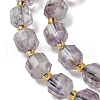 Natural Amethyst Beads Strands G-Z034-F11-01-4