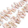 Natural Keshi Pearl Beads Strands PEAR-S020-H08-2