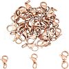 UNICRAFTALE 304 Stainless Steel Lobster Claw Clasps STAS-UN0019-73RG-1