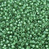MIYUKI Round Rocailles Beads SEED-G007-RR0646-2