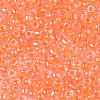 8/0 Glass Seed Beads SEED-A015-3mm-2211-01-3