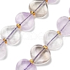 Natural Ametrine Beads Strands G-B044-B20-01-2