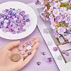 SUNNYCLUE Acrylic  Beads Set OACR-SC0001-71B-3