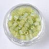 6/0 Transparent Glass Seed Beads SEED-S027-03B-05-2