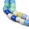 Handmade Lampwork Beads Strands LAMP-S070-06D-3