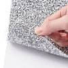Glitter Resin Hotfix Rhinestone(Adhesive On The Back) DIY-XCP0001-75-3