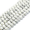 Natural Howlite Beads Strands G-P573-B02-01-2