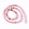 Shell Beads Strands SSHEL-E571-49-2