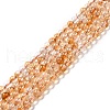 Natural Citrine Bead Strands X-G-P466-01E-1