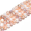 Natural Cultured Freshwater Pearl Beads Strands PEAR-N014-05M-5