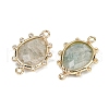 Natural Amazonite Faceted Connector Charms G-K347-07G-02-2
