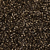 MIYUKI Delica Beads SEED-X0054-DB0022-2