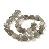 Natural Labradorite Beads Strands G-M403-C09-01-3