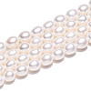 Natural Cultured Freshwater Pearl Beads Strands PEAR-N012-07Z-01-5