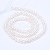 Natural Cultured Freshwater Pearl Beads Strands PEAR-R063-08-2