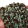 Natural Serpentine Beads Strands G-RM250101-D8-6mm-2