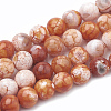 Dyed Natural Crackle Agate Beads Strands G-T100-03F-1