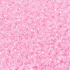 MIYUKI Delica Beads SEED-X0054-DB0244-2