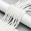 Opaque Solid Color Electroplate Glass Beads Strands EGLA-A039-P4mm-A15-4