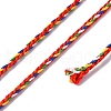 Multi-Color Decorative Nylon Twisted Cord NWIR-C005-01B-3