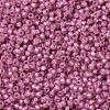 MIYUKI Round Rocailles Beads X-SEED-G007-RR0645-3