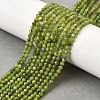 Natural Canadian Jade Beads Strands G-G259-D02-3mm-1