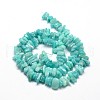 Natural Amazonite Chip Beads Strands G-E271-76-2