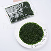 Transparent Glass Bugle Beads SEED-N005-001-C05-2