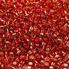 Glass Seed Beads X1-SEED-S042-04A-10-3
