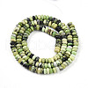 Natural Serpentine Beads Strands G-T140-76-2