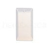 Opalite Pendants PW-WG07E98-04-1