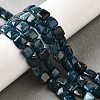 Natural Apatite Beads Strands G-Q026-C01-01-2